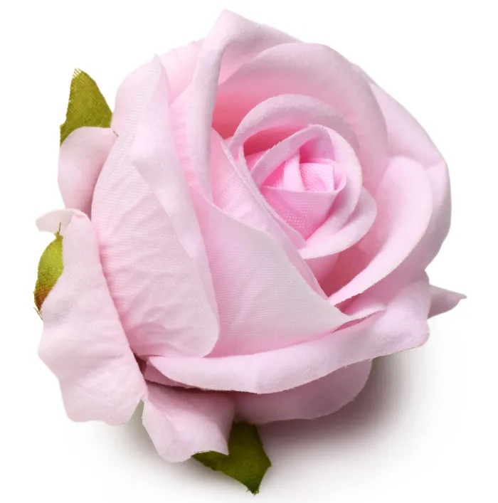 Vibrators | XR Brands The Rose Lover's Gift Box Bloomgasm - Pink