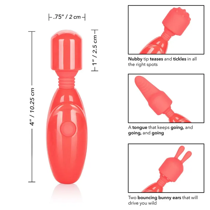 California Exotic Novelties Female Sex Toys Rechargeable Massager Kit